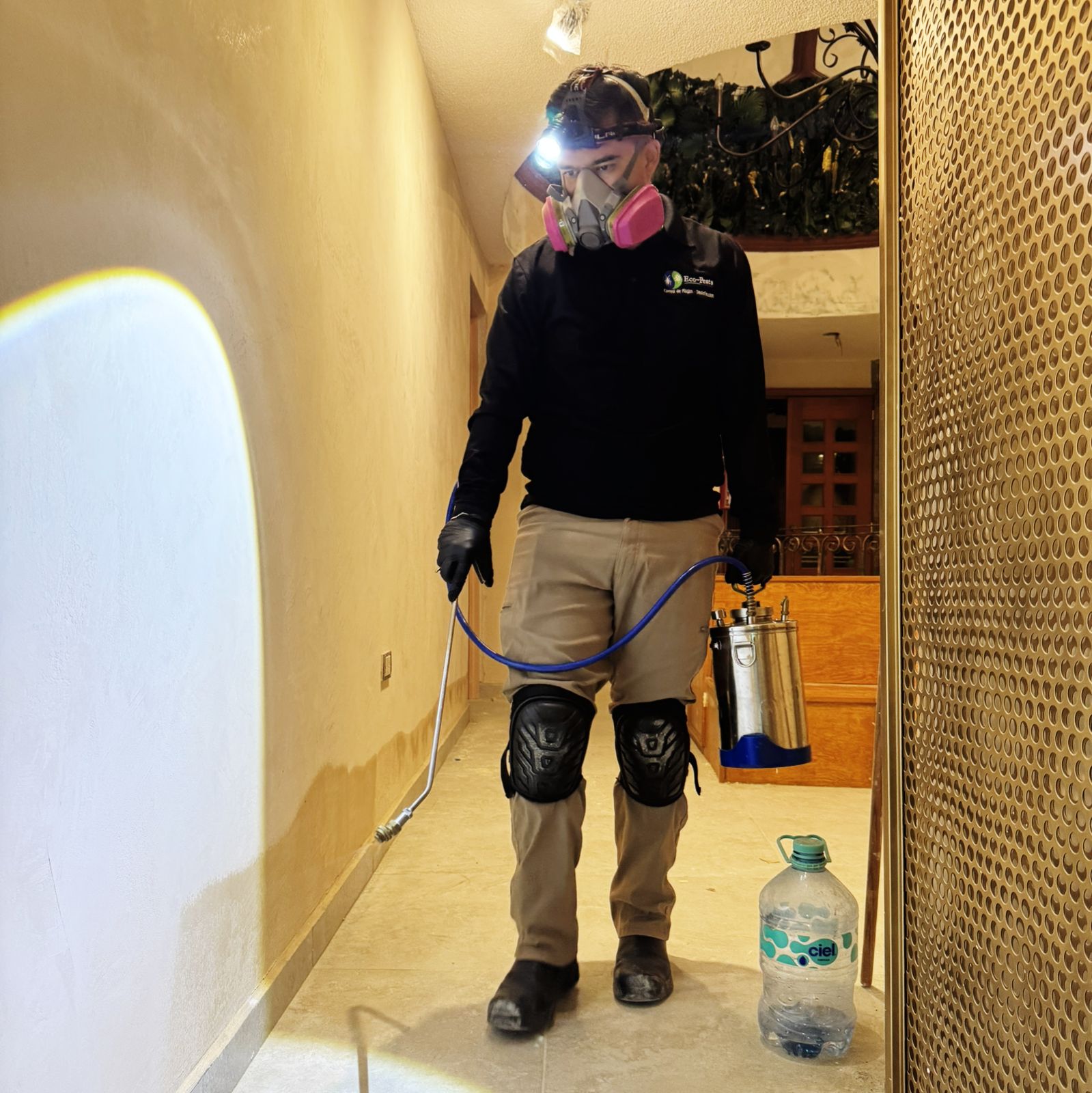 Servicio profesional de control de plagas en Puebla Eco Pests