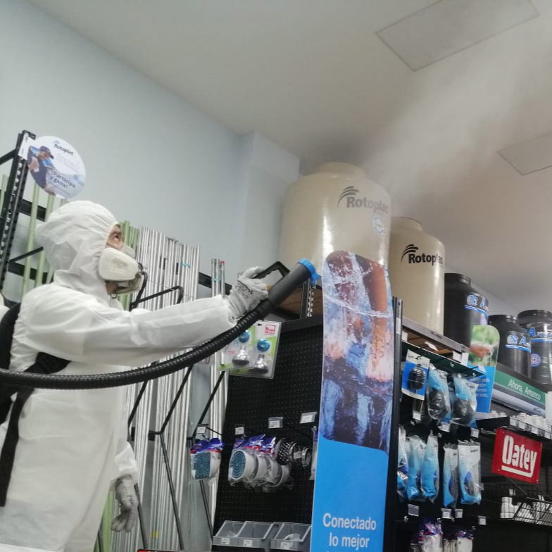 Servicio profesional de desinfeccion en Puebla Eco Pests